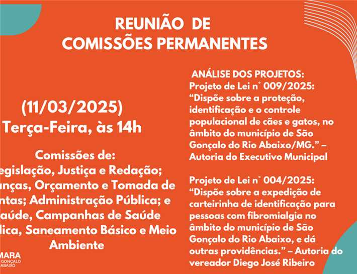 Reunião de Comissões 11/03